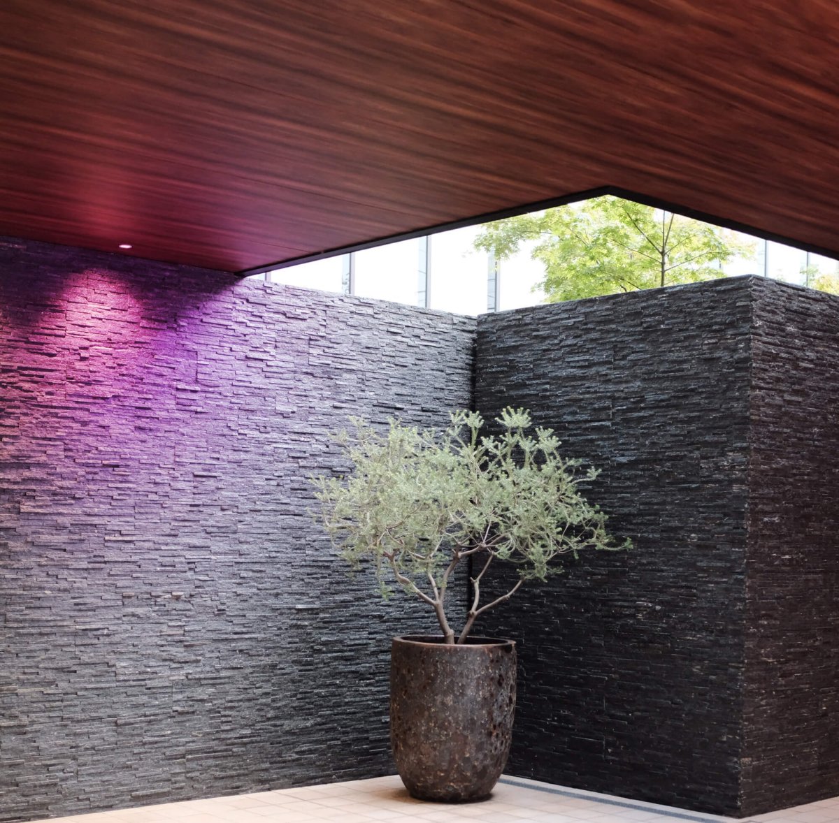 Encastré en retrait Etch Pro