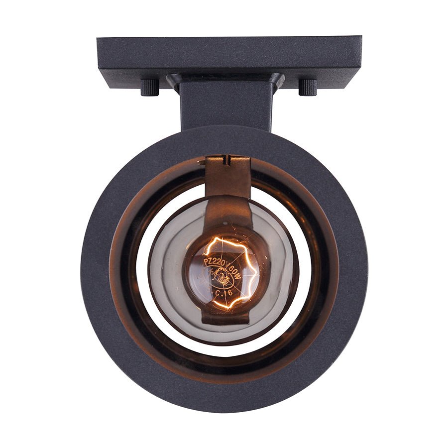 Lanterne extérieure Baylyn - by Canarm | Luminaires & cie