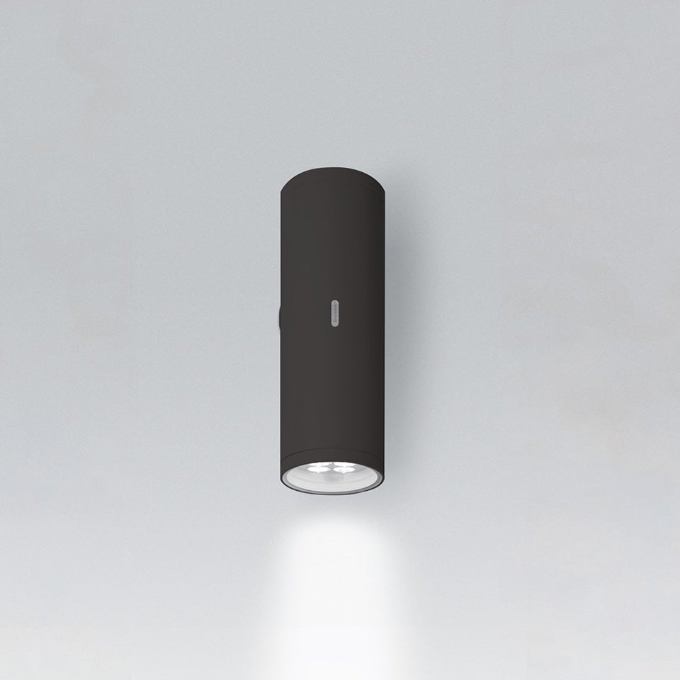 Murale Extérieure Calumet - Mono 13" Gris anthracite 3000°K by Artemide | Luminaires & cie