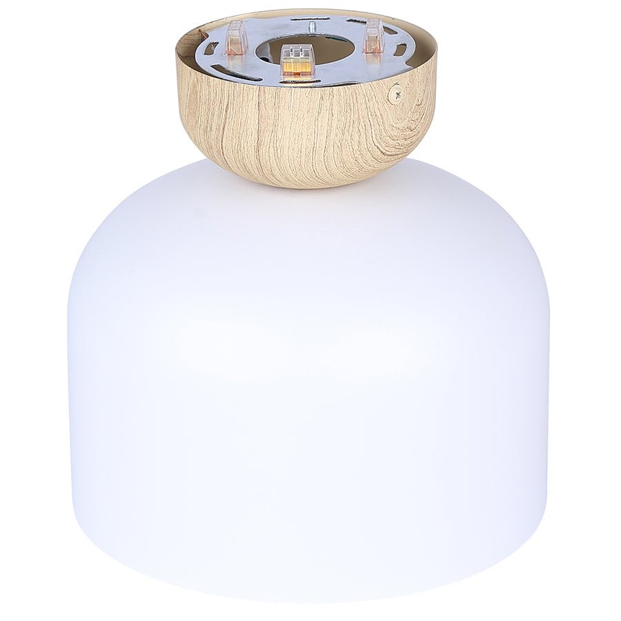 Plafonnier Caleb - by Canarm | Luminaires & cie