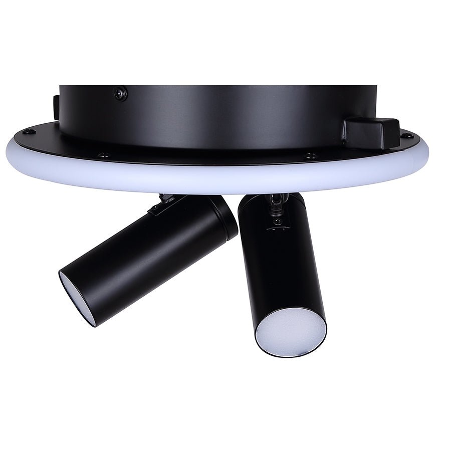 Plafonnier Denver - 12 1/4" by Canarm | Luminaires & cie