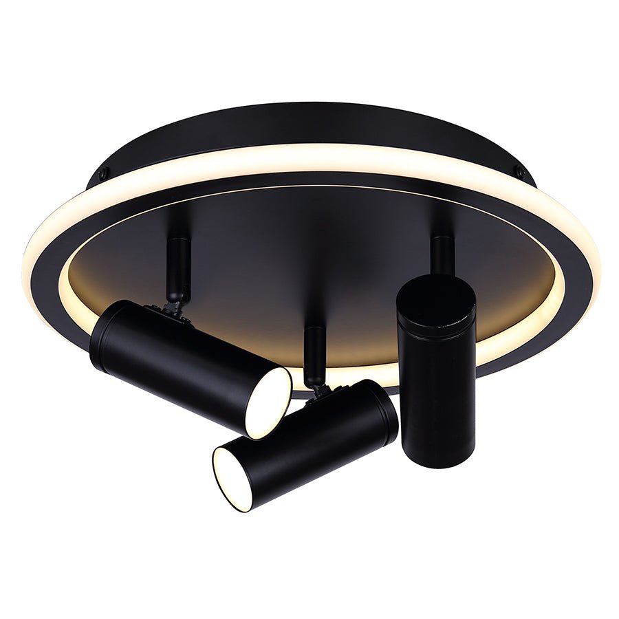 Plafonnier Denver - 12 1/4" by Canarm | Luminaires & cie