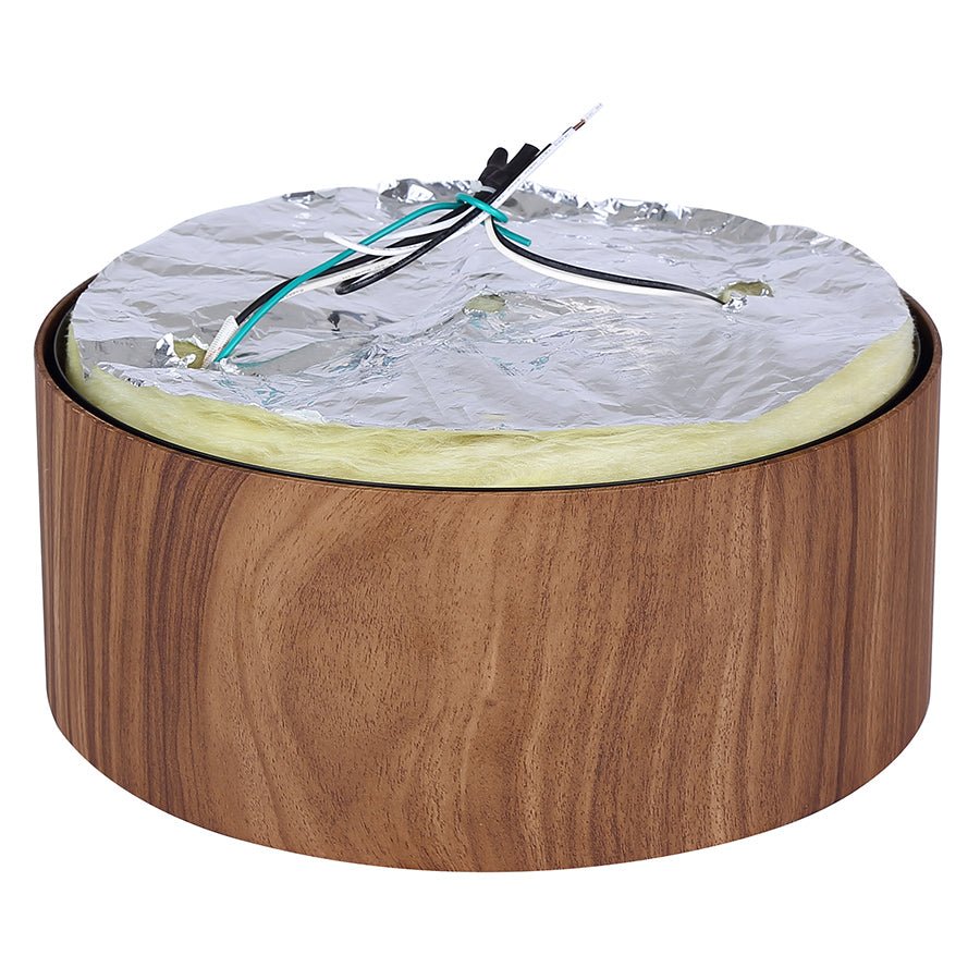 Plafonnier Dexter - Noir mat 13" by Canarm | Luminaires & cie