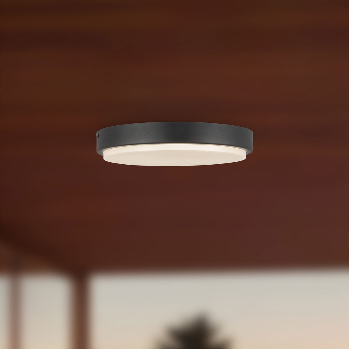 Plafonnier extérieur Bailey Noir, 11" – vue 5