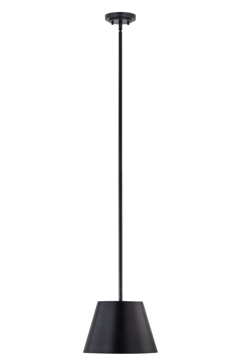 Suspension Lilly - Noir mat 12" by Z-Lite | Luminaires & cie