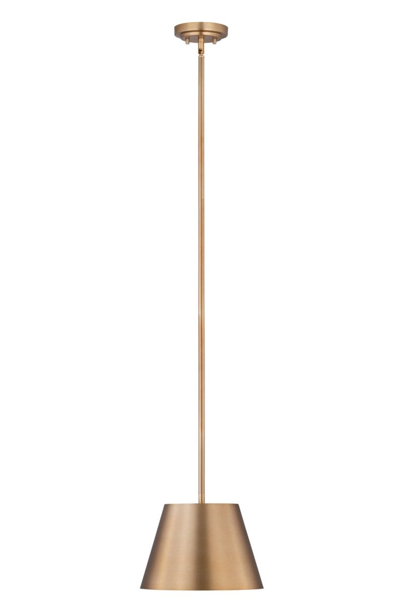 Suspension Lilly - Or moderne 12" by Z-Lite | Luminaires & cie