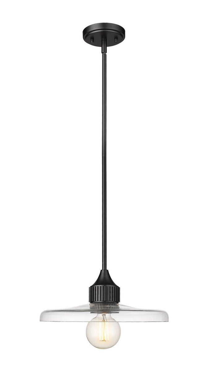 Suspension Paloma - Noir mat Transparent 14" by Z-Lite | Luminaires & cie