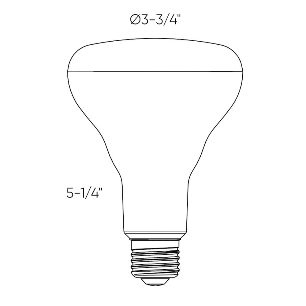 Ampoule BR30 Pro