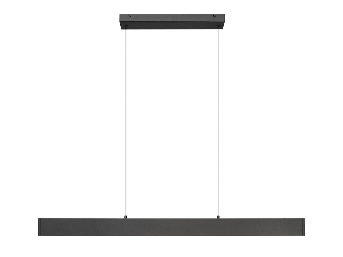 Suspension linéaire Hudson Noir mat, 45" – vue 2