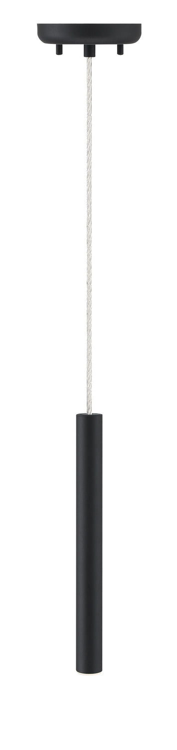 Mini-suspension Forest Câble coaxial argenté, Noir mat, 12" – vue 4