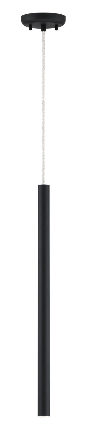 Mini-suspension Forest Câble coaxial argenté, Noir mat, 24" – vue 3