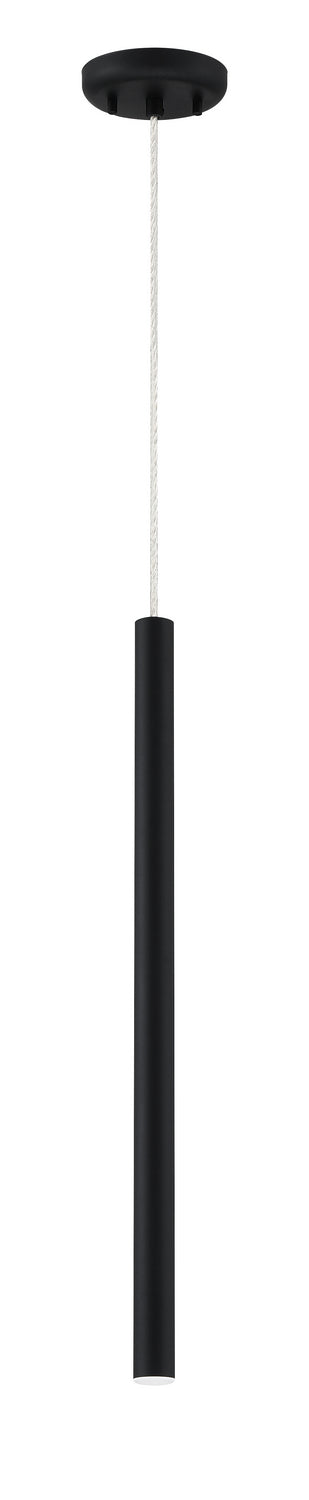 Mini-suspension Forest Câble coaxial argenté, Noir mat, 24" – vue 5