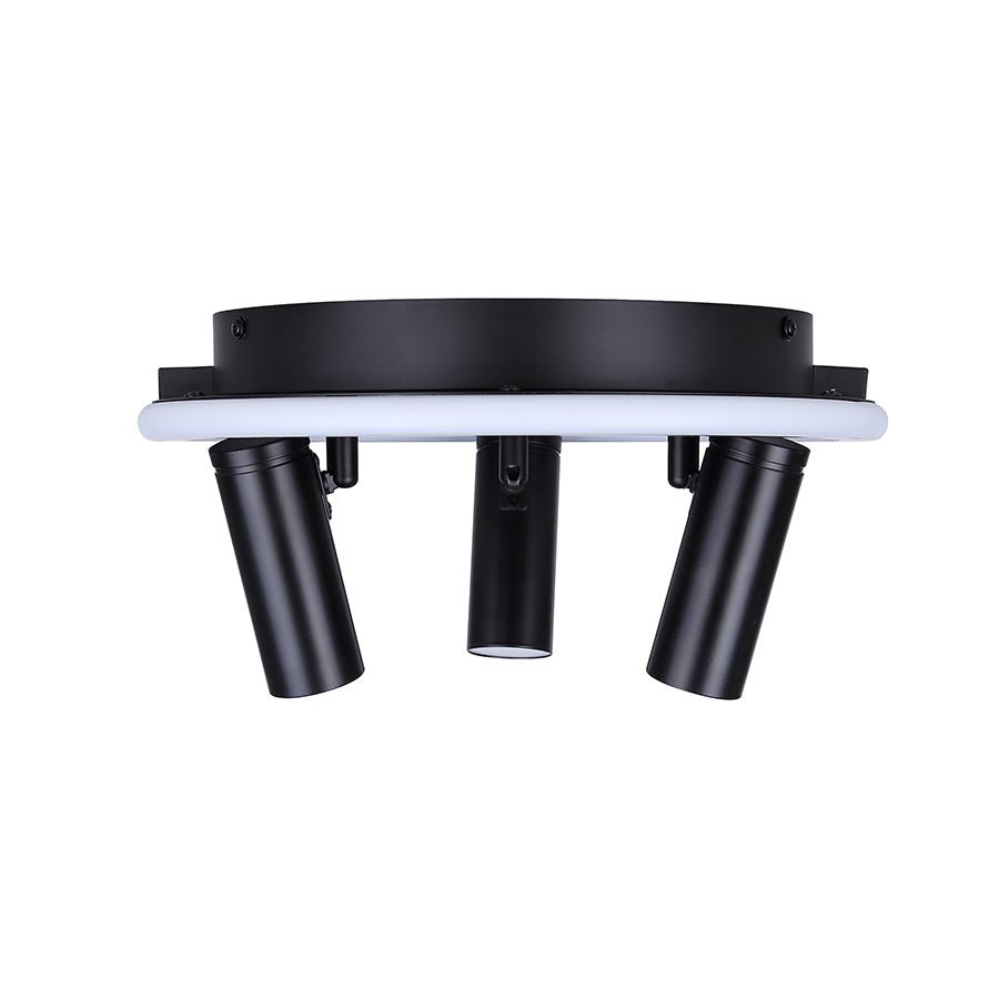 Plafonnier Denver - 12 1/4" by Canarm | Luminaires & cie