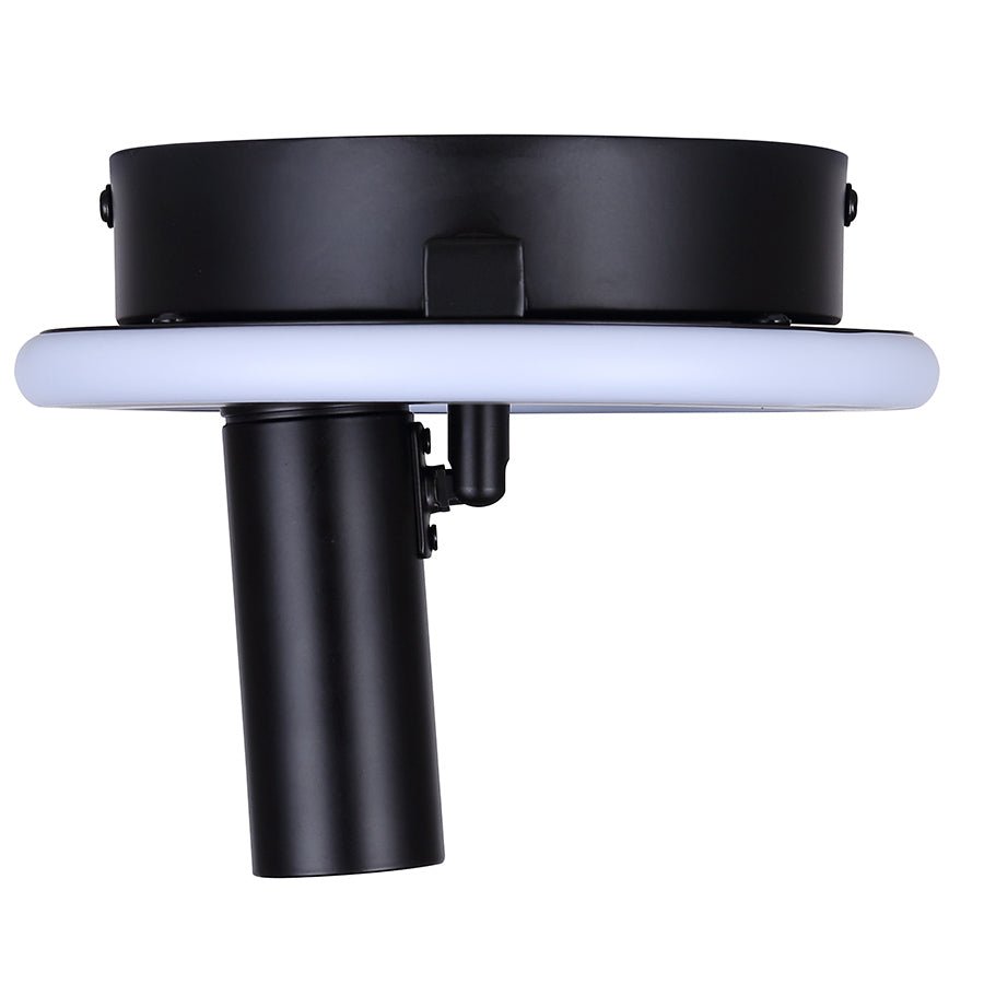 Plafonnier Denver - 12 1/4" by Canarm | Luminaires & cie