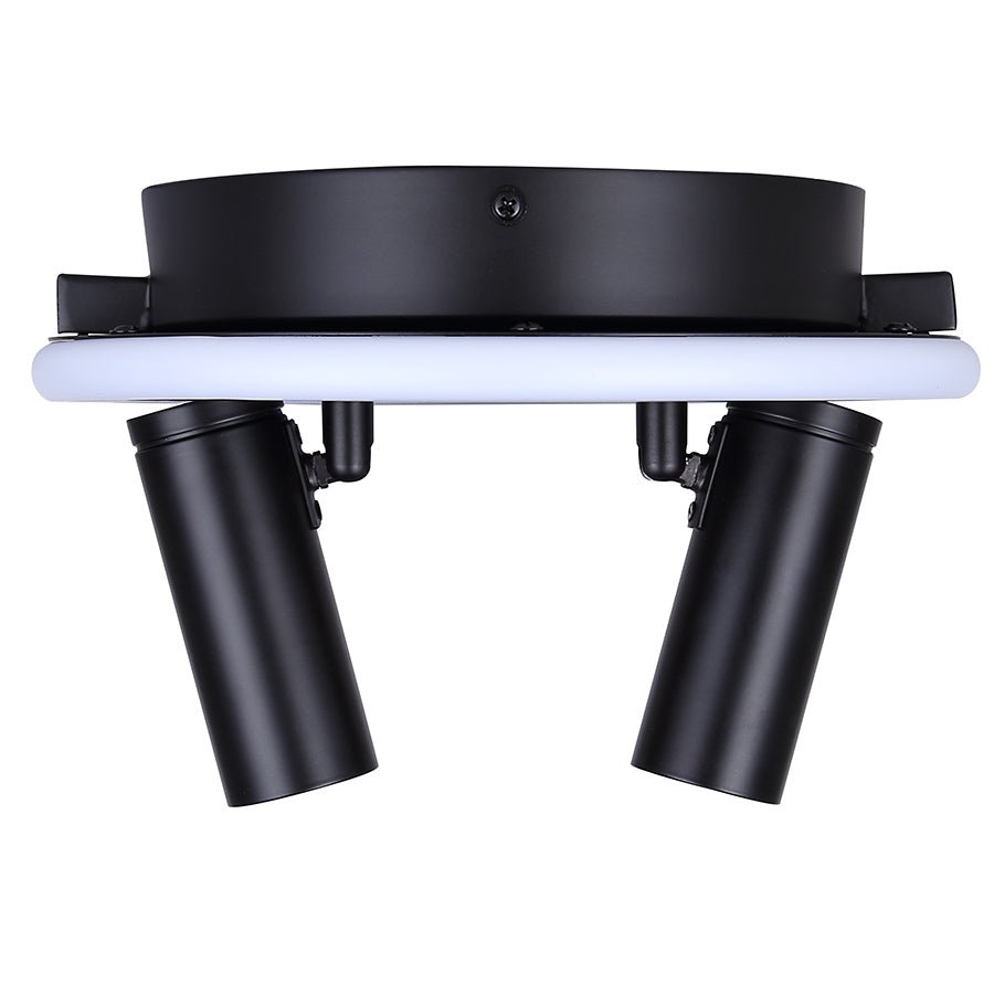 Plafonnier Denver - 12 1/4" by Canarm | Luminaires & cie