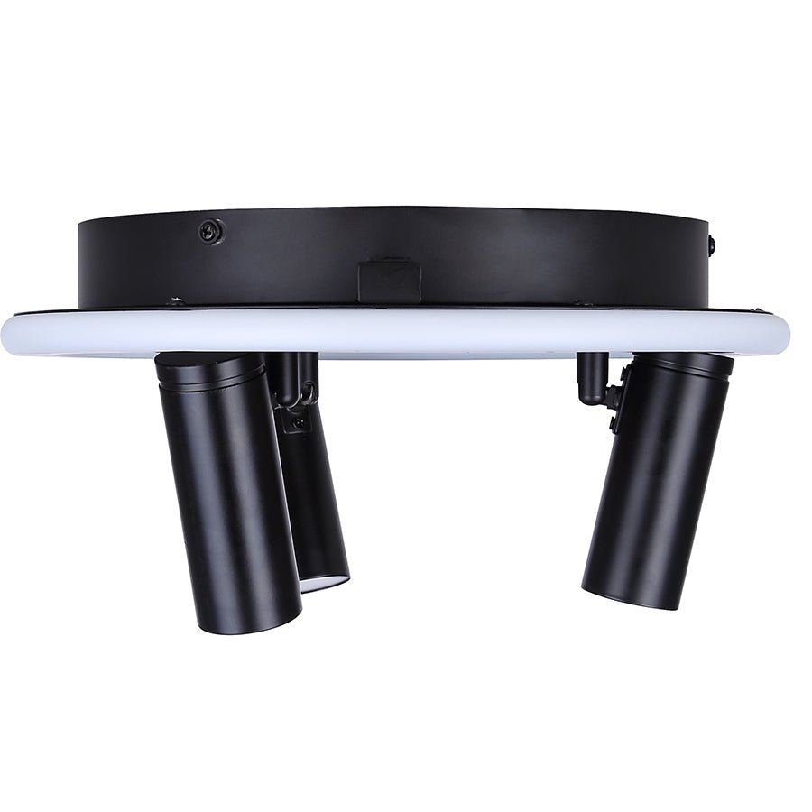 Plafonnier Denver - 12 1/4" by Canarm | Luminaires & cie