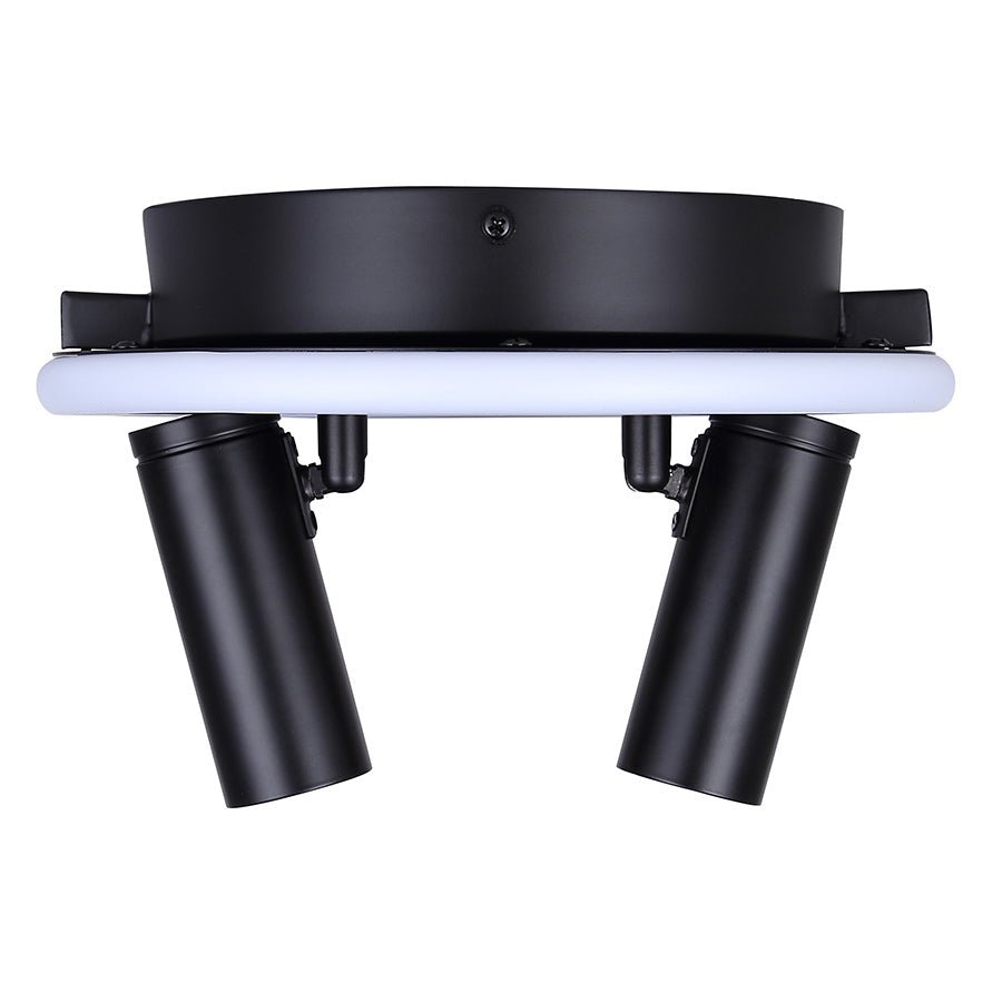 Plafonnier Denver - 12 1/4" by Canarm | Luminaires & cie