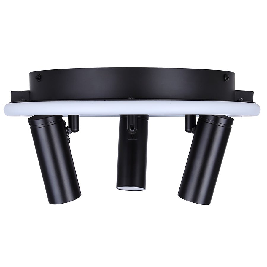 Plafonnier Denver - 12 1/4" by Canarm | Luminaires & cie