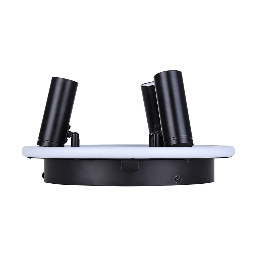 Plafonnier Denver - 12 1/4" by Canarm | Luminaires & cie