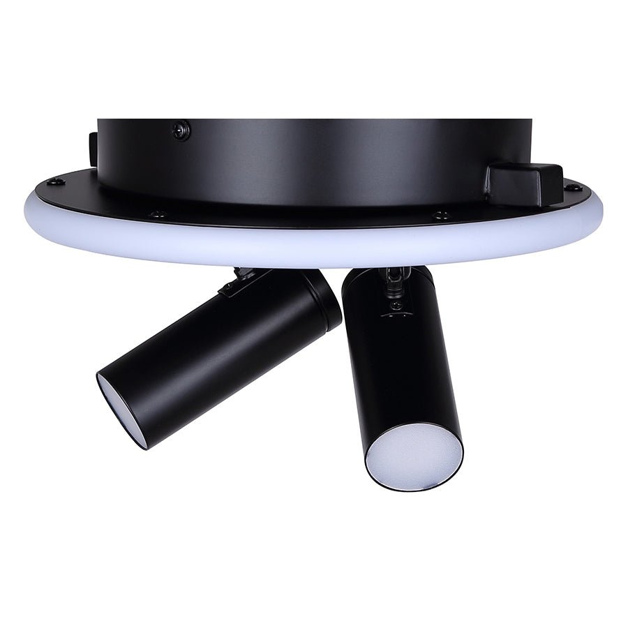 Plafonnier Denver - 12 1/4" by Canarm | Luminaires & cie