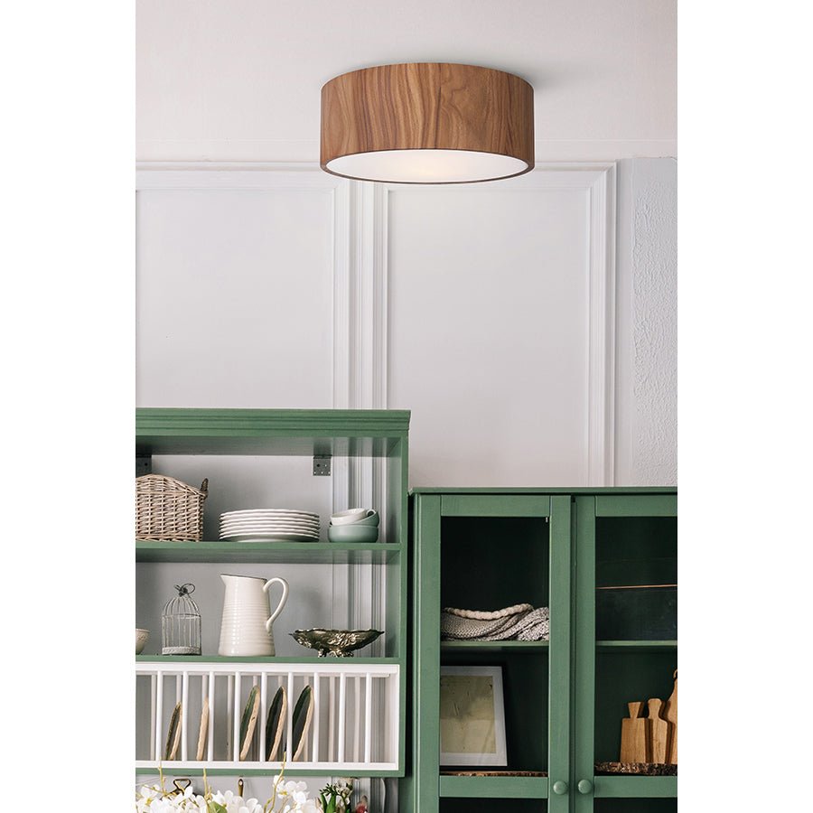 Plafonnier Dexter - Noir mat 13" by Canarm | Luminaires & cie