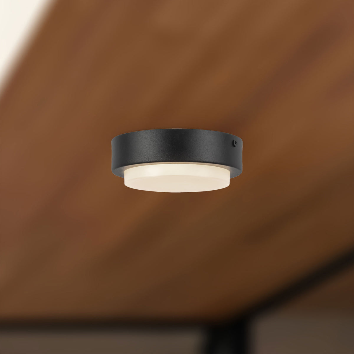 Plafonnier extérieur Bailey Noir, 5" – vue 5