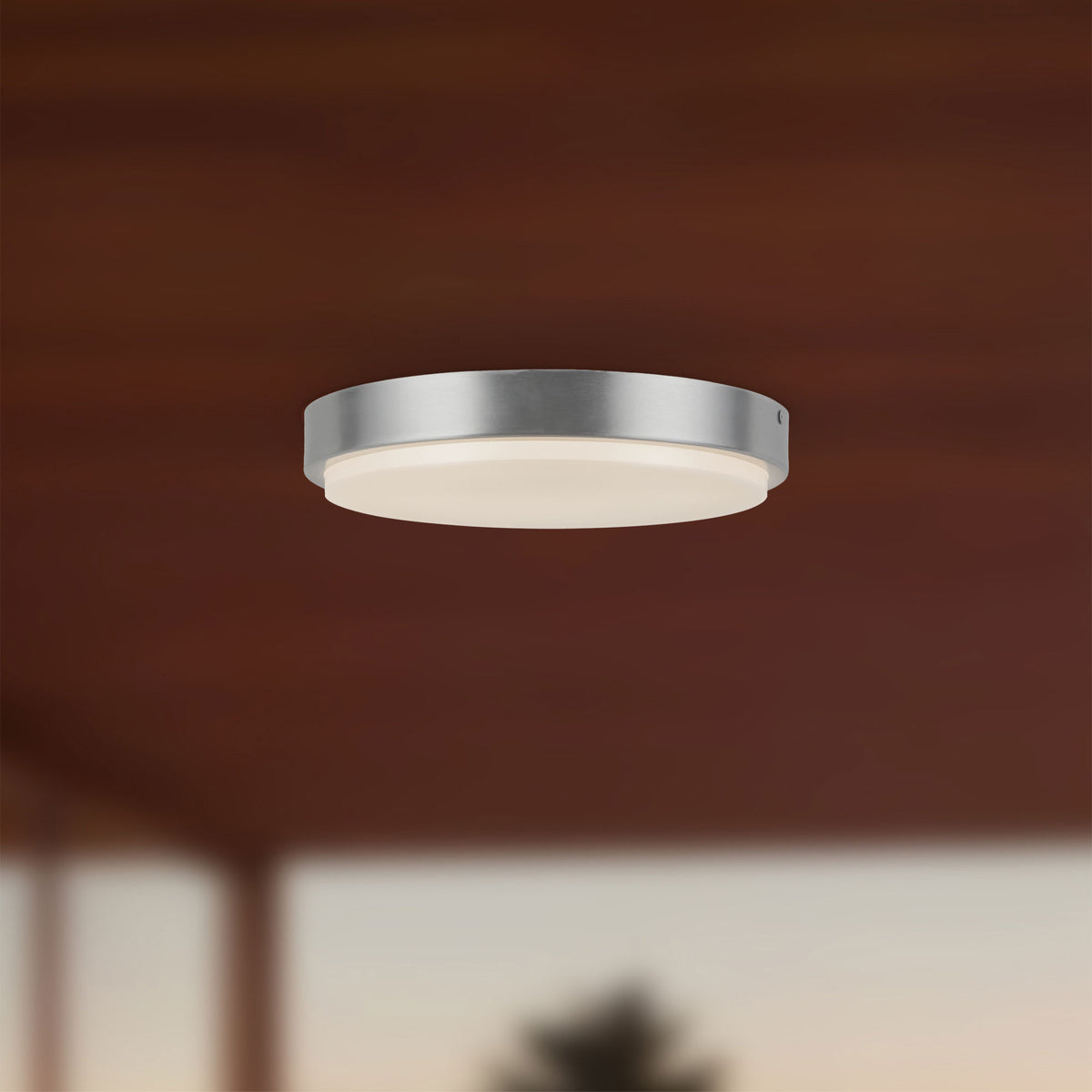 Plafonnier extérieur Bailey Nickel brossé, 11" – vue 5