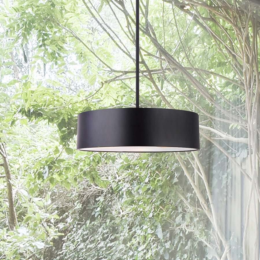 Suspension Dexter - Noir mat 15 3/4" by Canarm | Luminaires & cie