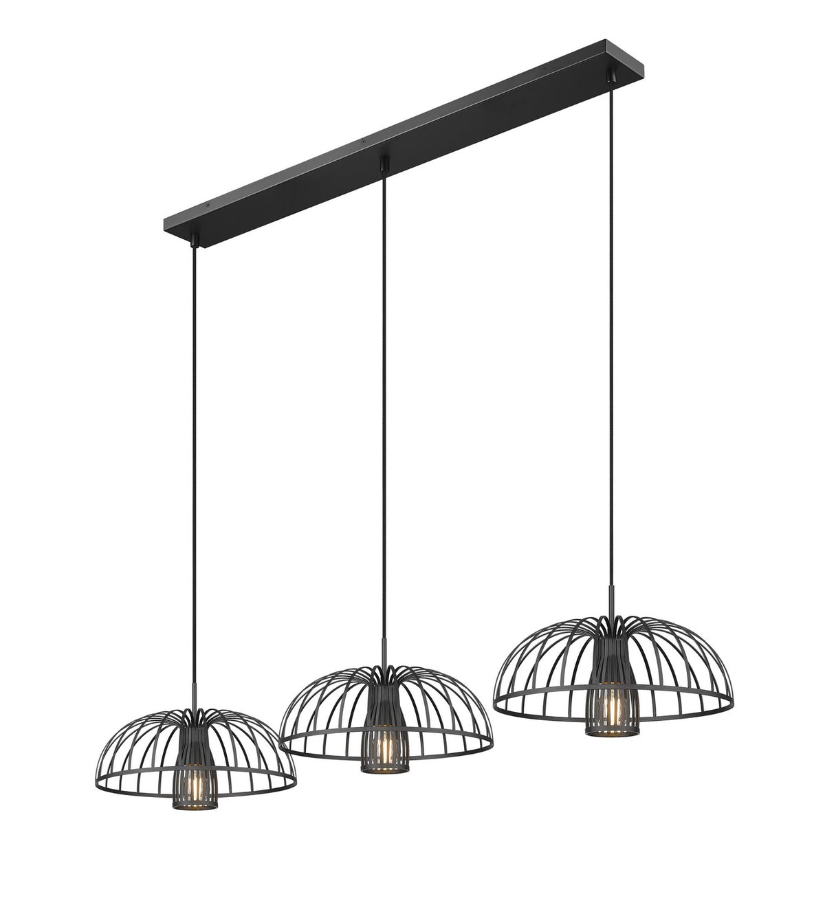 Suspension linéaire Valencia Noir mat – Z-Lite