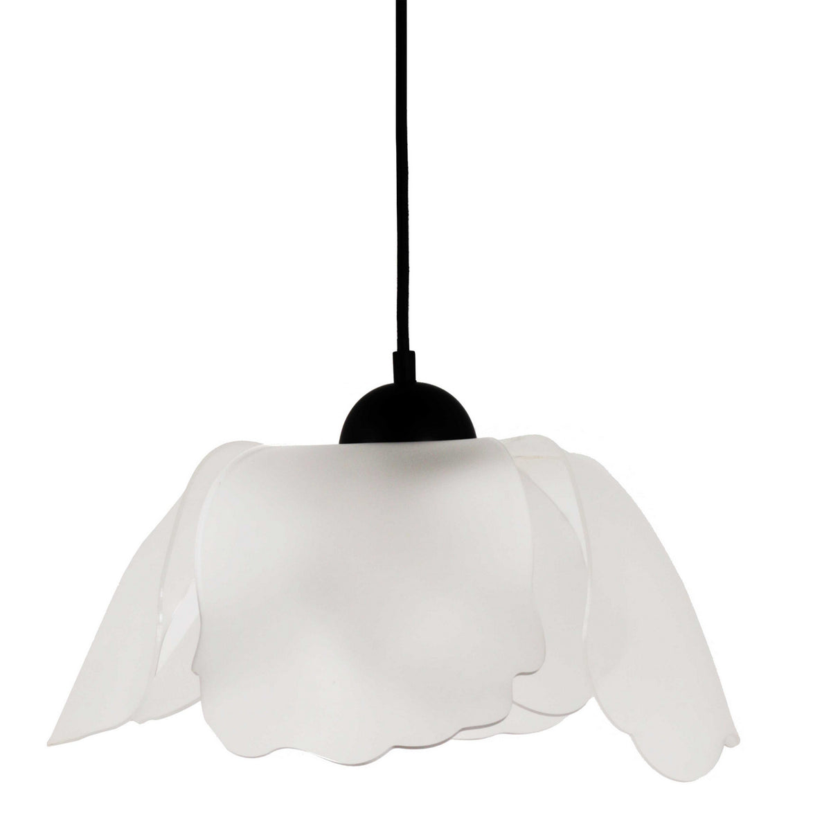 Suspension Passion – Dainolite
