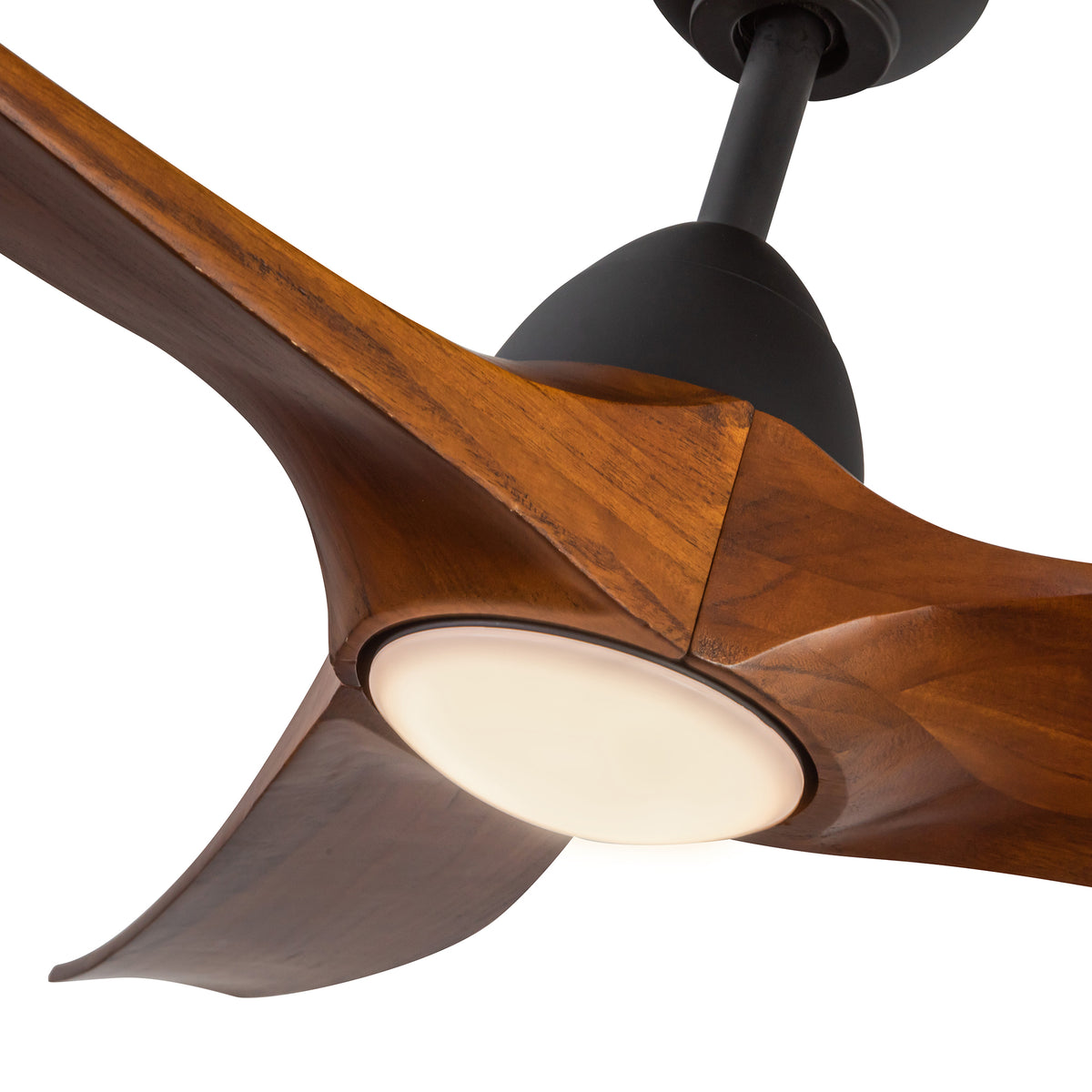 Ventilateur de plafond Baylor Noir mat / Noyer foncé, Yes – vue 5