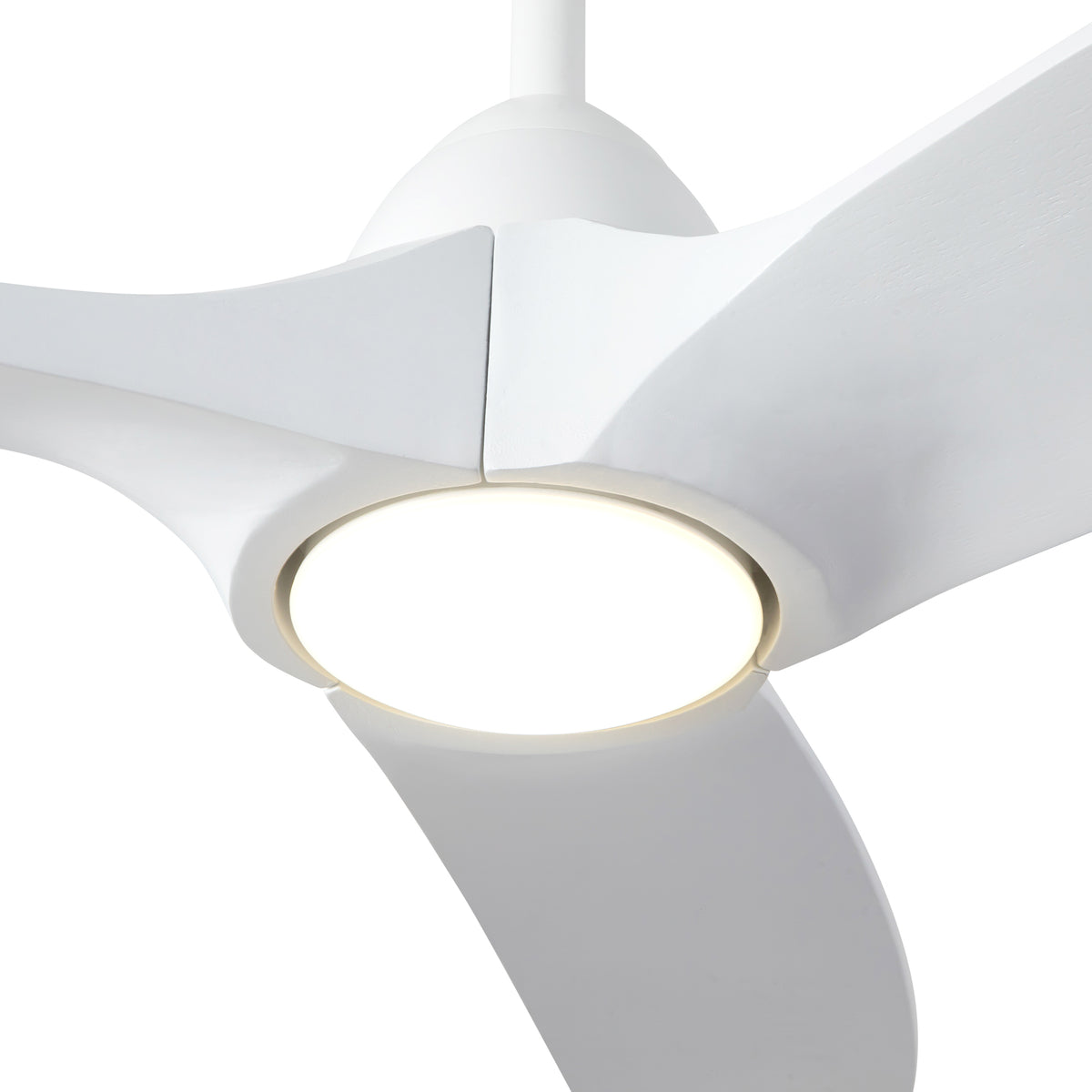 Ventilateur de plafond Baylor Blanc, Yes – vue 4