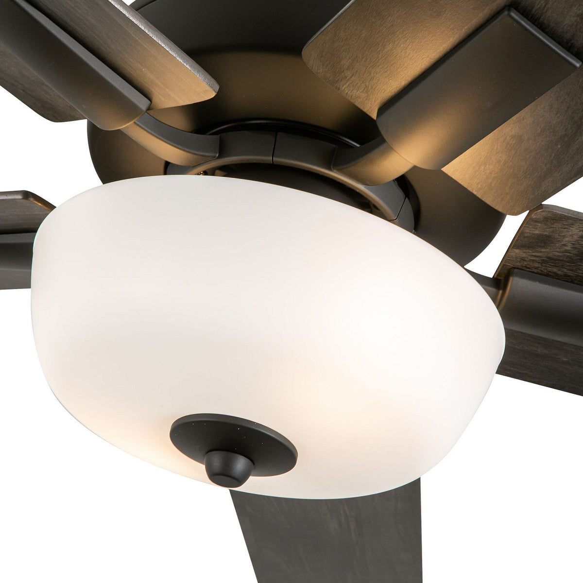 Ventilateur de plafond Erikson Ensemble d'éclairage avec commande murale, Noir – vue 3