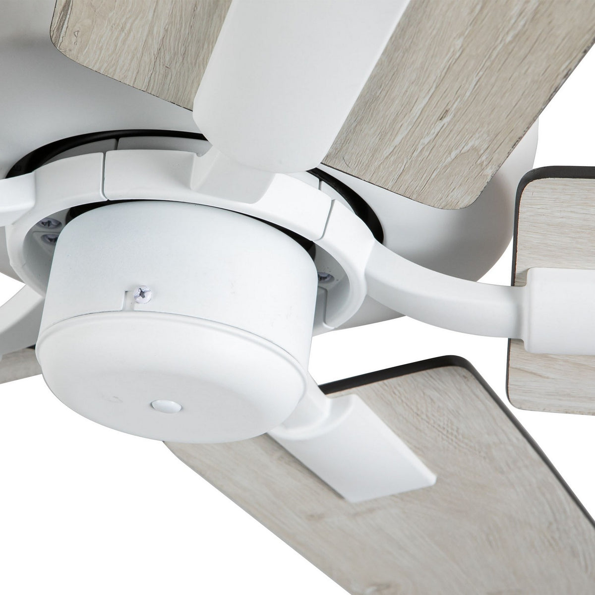 Ventilateur de plafond Erikson Sans kit d'éclairage avec contrôle mural, Blanc – vue 4