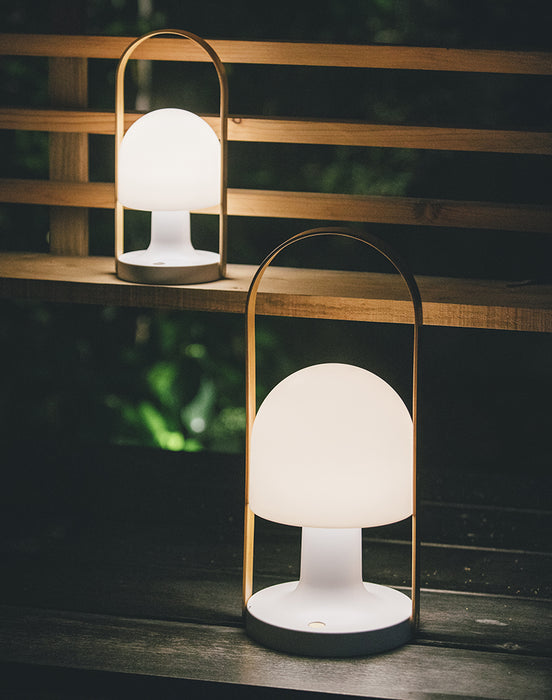 FollowMe Plus Portable Lamp