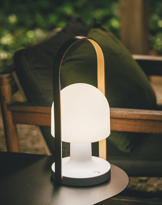 FollowMe Plus Portable Lamp